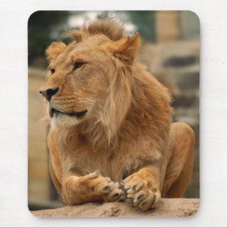 Lion with punk hair-style mouse pad