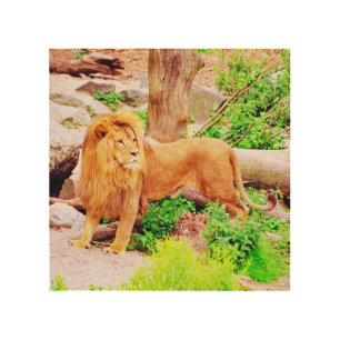 lion Wood Wall Art