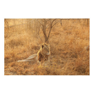 Lion Wood Wall Art