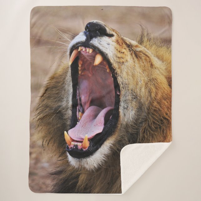 LION YAWN SHERPA BLANKET (Front)