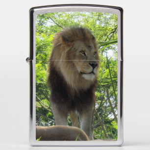 Lion Zippo Pocket Lighter