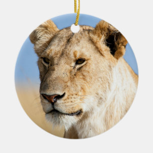Lioness against blue sky ceramic ornament