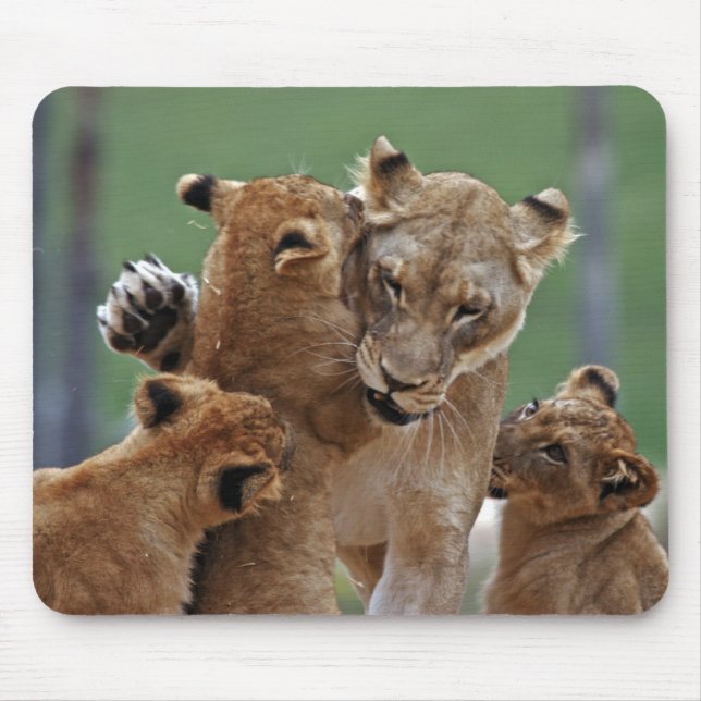 Lioness and 3 Cubs Mousepad (Front)