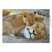 Lioness and cub (Front Horizontal)