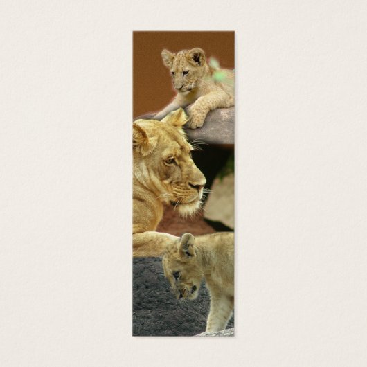 Lioness and Cubs Mini Bookmark / (Front)