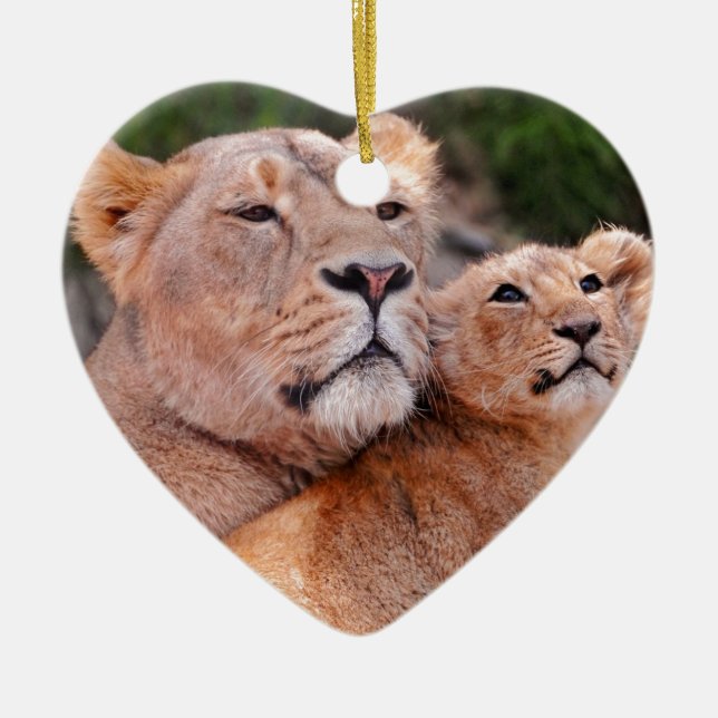 Lioness and Lion Cub Rest Before The Hunt Ceramic Ornament (Front)
