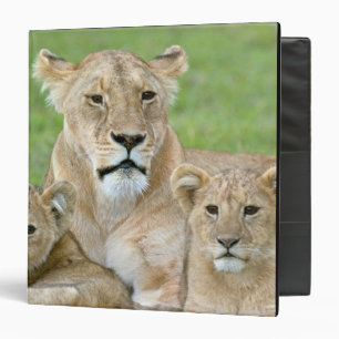 Lioness and Two Cubs, East Africa, Tanzania, Binder