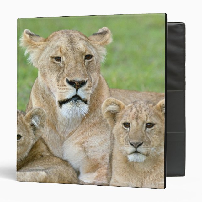 Lioness and Two Cubs, East Africa, Tanzania, Binder (Front/Inside)