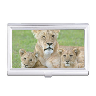 Lioness and Two Cubs, East Africa, Tanzania, Business Card Holder