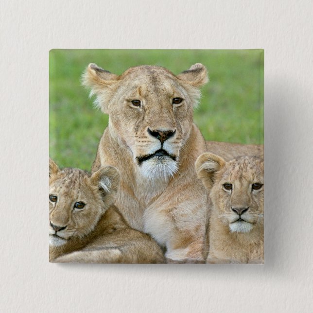 Lioness and Two Cubs, East Africa, Tanzania, Button (Front)