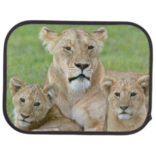 Lioness and Two Cubs, East Africa, Tanzania, Car Mat