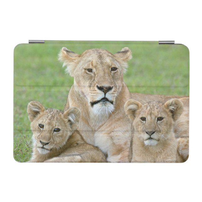 Lioness and Two Cubs, East Africa, Tanzania, iPad Mini Cover (Horizontal)
