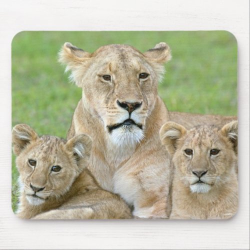 Lioness and Two Cubs East Africa Tanzania Mouse Pad