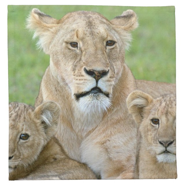 Lioness and Two Cubs, East Africa, Tanzania, Napkin (Front)
