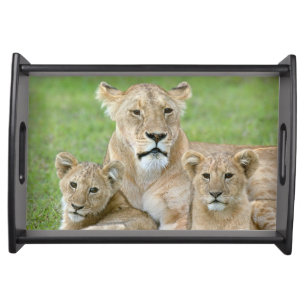 Lioness and Two Cubs, East Africa, Tanzania, Serving Tray