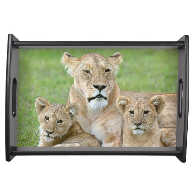 Lioness and Two Cubs, East Africa, Tanzania, Serving Tray (Front)
