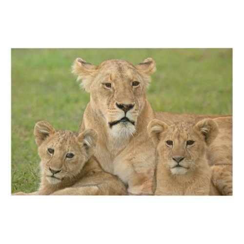 Lioness and Two Cubs East Africa Tanzania Wood Wall Art
