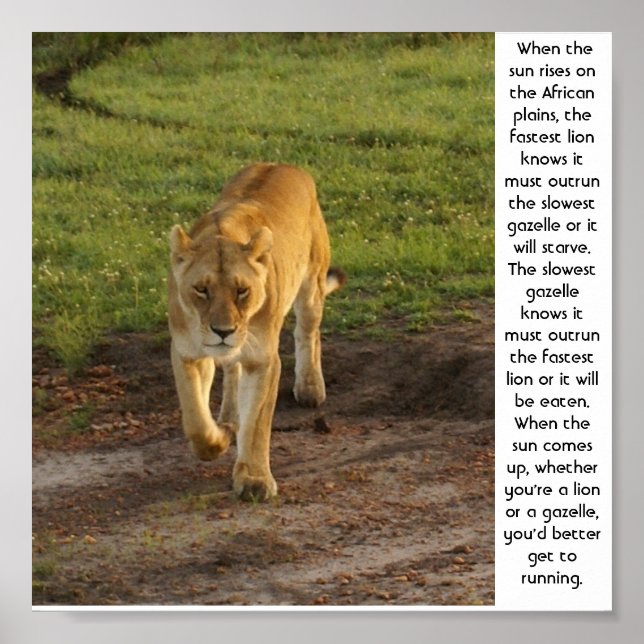 Lioness at Masai Mara Inspirational Poster (Front)