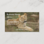 Lioness Business Card