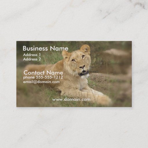 Customizable Lioness Business Card