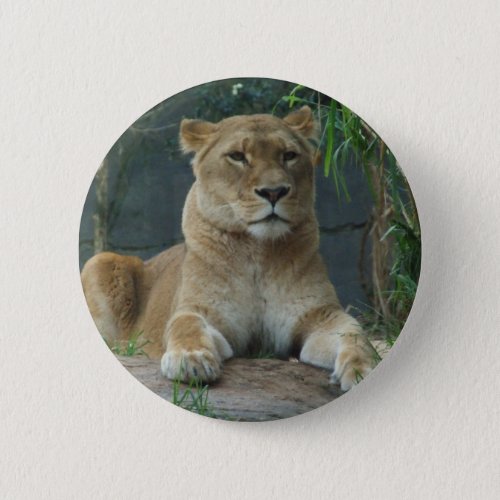 Lioness Button