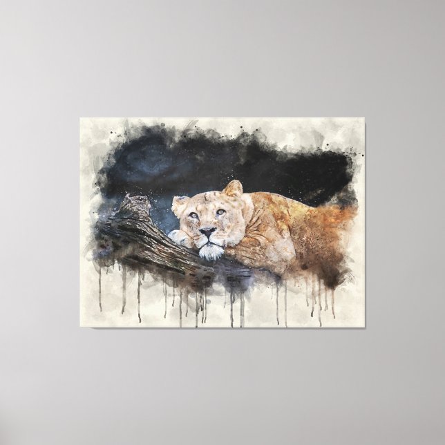 Lioness Canvas Print (Front)