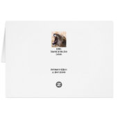 Lioness Cards (Back Horizontal)
