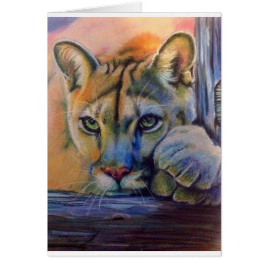 Lioness Cards (Front)