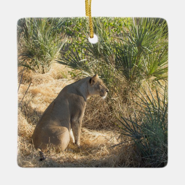 LIONESS CERAMIC ORNAMENT (Front)