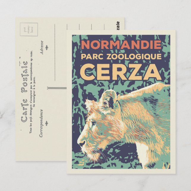 Lioness, Cerza Zoological park in Normandy France Postcard (Front/Back)