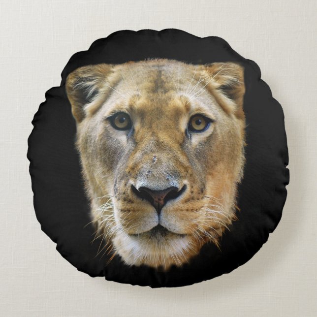 Lioness from Africa Round Pillow (Front)