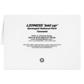 Lioness 'laid up' cards (Back Horizontal)