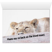 Lioness 'laid up' cards (Inside Horizontal (Bottom))