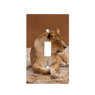 Lioness light switch cover