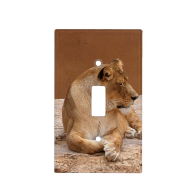 Lioness light switch cover (Front)