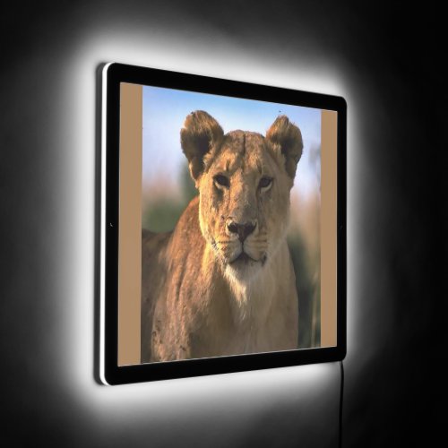 Lioness Lion Lovers LED Sign