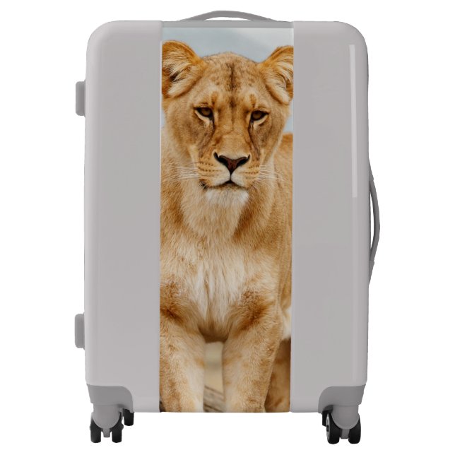 Lioness Luggage (Front)