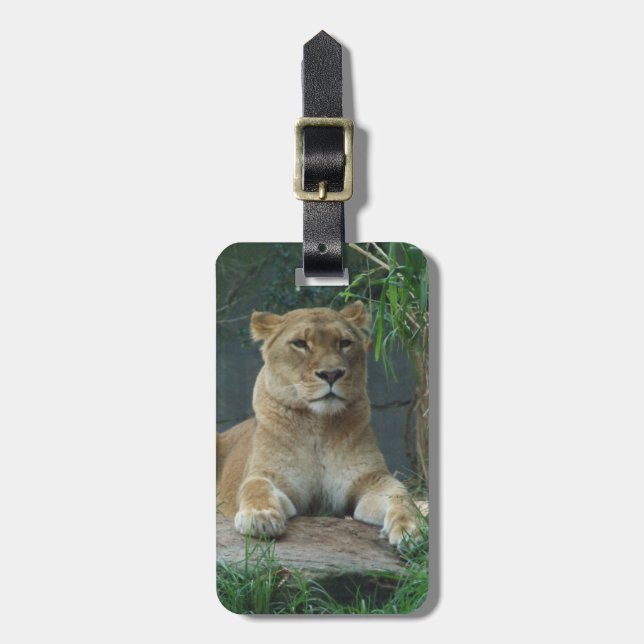 Lioness Luggage Tag (Front Vertical)