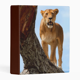 Lioness Mini Binder
