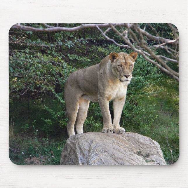 Lioness Mouse Pad (Front)