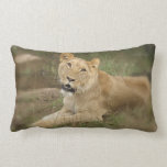 Lioness Pillow