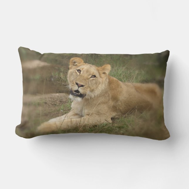 Lioness Pillow (Front)