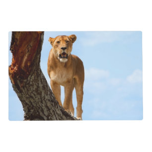 Lioness Placemat