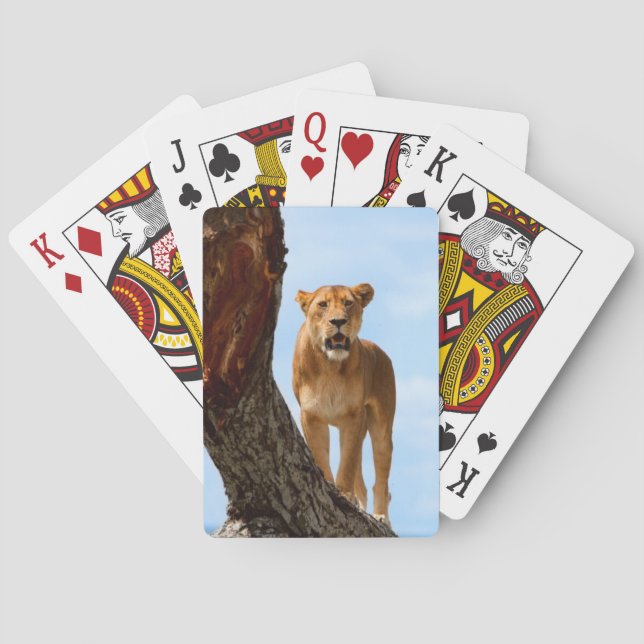 Lioness Poker Cards (Back)