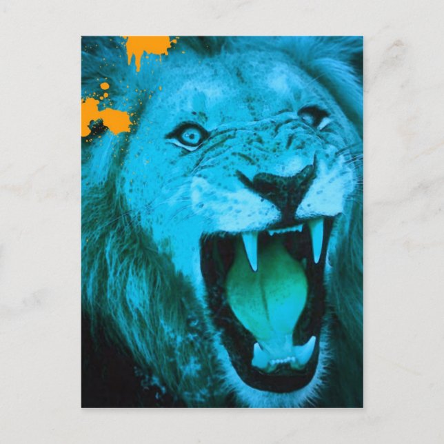 lioness postcard (Front)