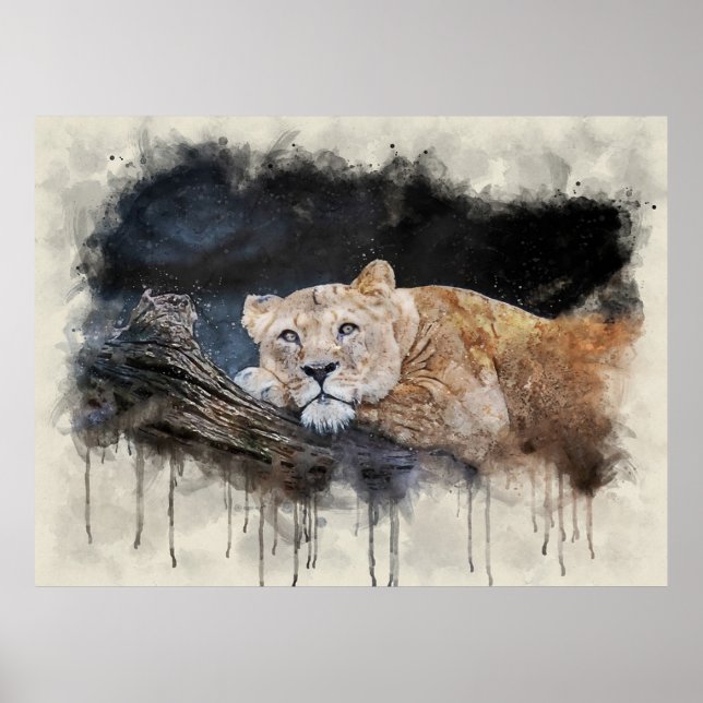 Lioness Poster (Front)