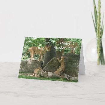 Lioness Pride Mother's Day Card by erinphotodesign at Zazzle