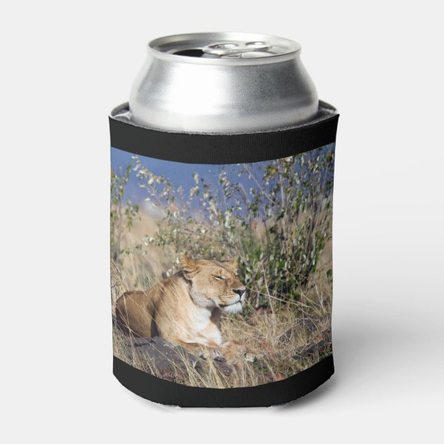 Lioness resting can cooler (Can Front)