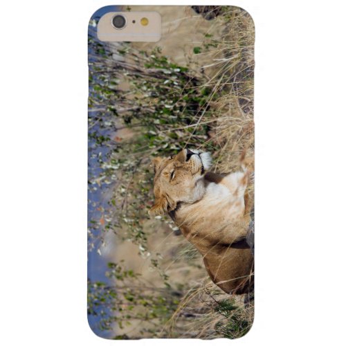 Lioness resting barely there iPhone 6 plus case