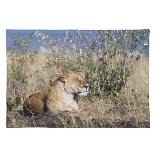 Lioness resting cloth placemat